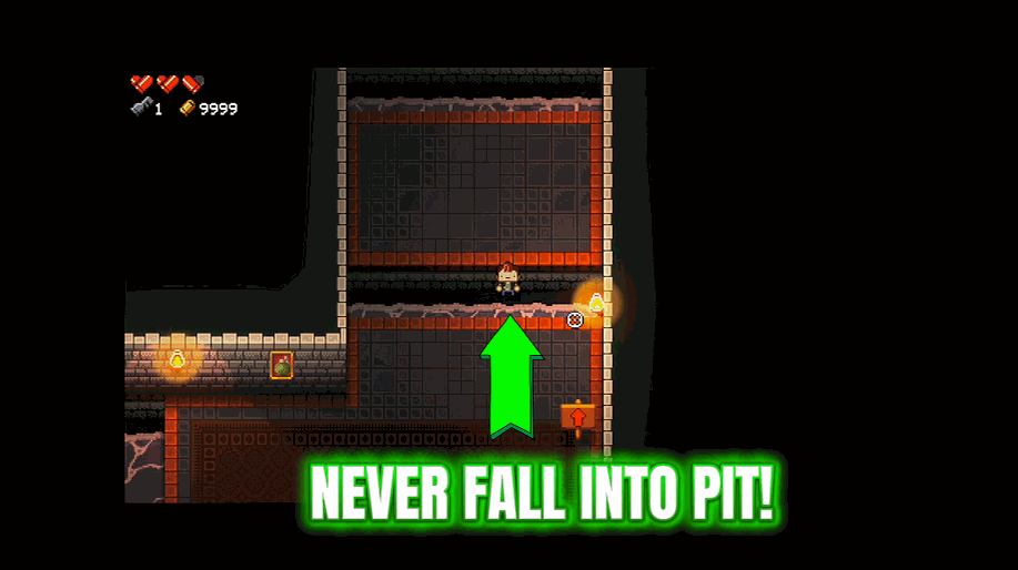 Enter the Gungeon — Pit Immunity Plus (Fly & Pit Protection) (screenshot 2)